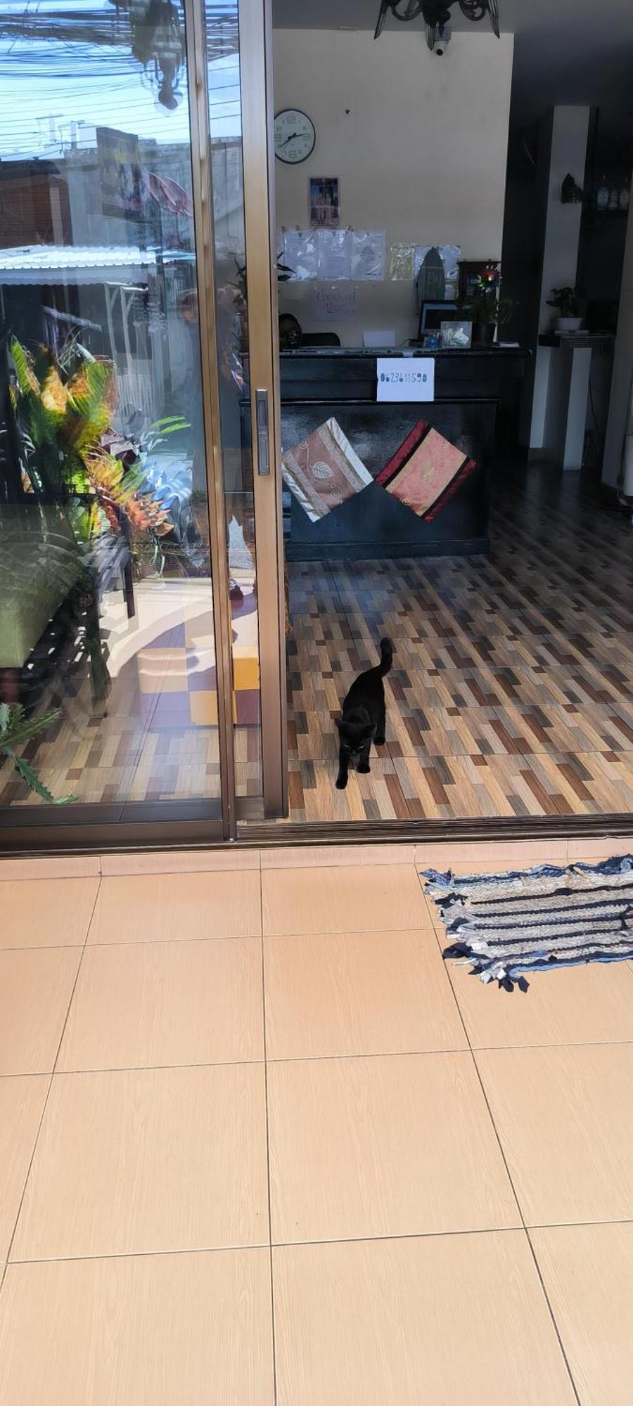 Kanpai Hotel Patong Dış mekan fotoğraf